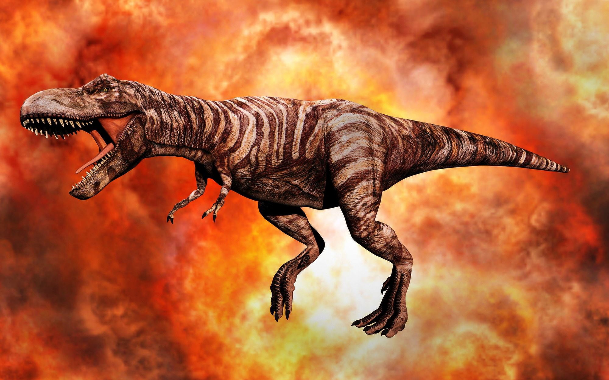 Tyrannosaurus Rex the King of Killer Dinosaurs Canvas Art - Mark StevensonStocktrek Images (18 x 12)