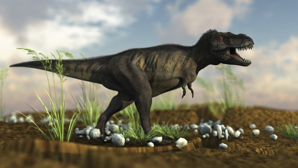 Tyrannosaurus Rex walking across desert terrain Canvas Art - Kostyantyn IvanyshenStocktrek Images (19 x 11)
