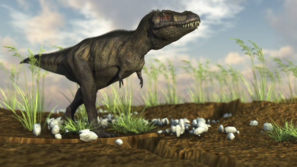 Tyrannosaurus Rex walking across desert terrain Canvas Art - Kostyantyn IvanyshenStocktrek Images (38 x 22)