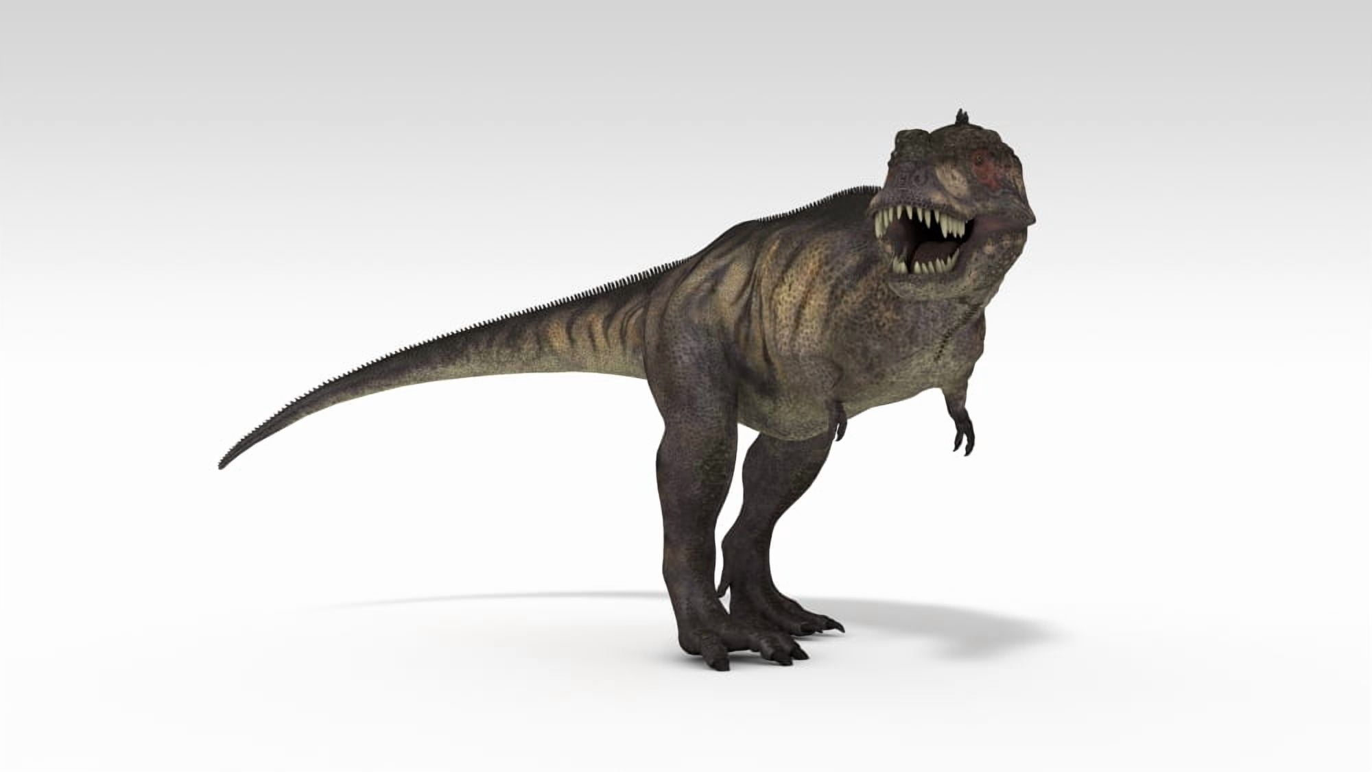 Tyrannosaurus Rex white background Canvas Art - Kostyantyn IvanyshenStocktrek Images (38 x 22)