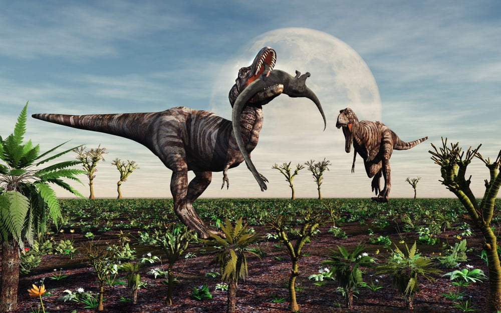 Tyrannosaurus Rex with a freshly killed young sauropod dinosaur Canvas Art - Mark StevensonStocktrek Images (18 x 12)