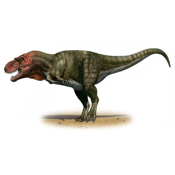 Tyrannosaurus rex a prehistoric era dinosaur Canvas Art - Sergey KrasovskiyStocktrek Images (20 x 11)