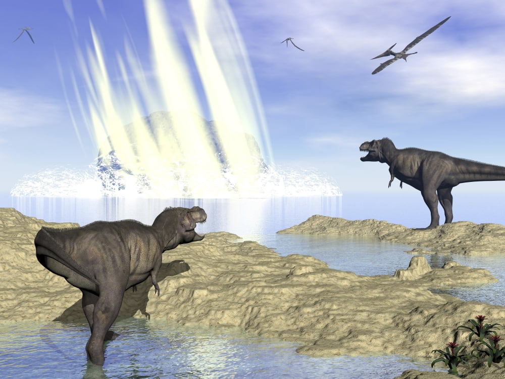 Tyrannosaurus rex and pteranodons watch a meteorite impact Canvas Art - Elena DuvernayStocktrek Images (17 x 13)