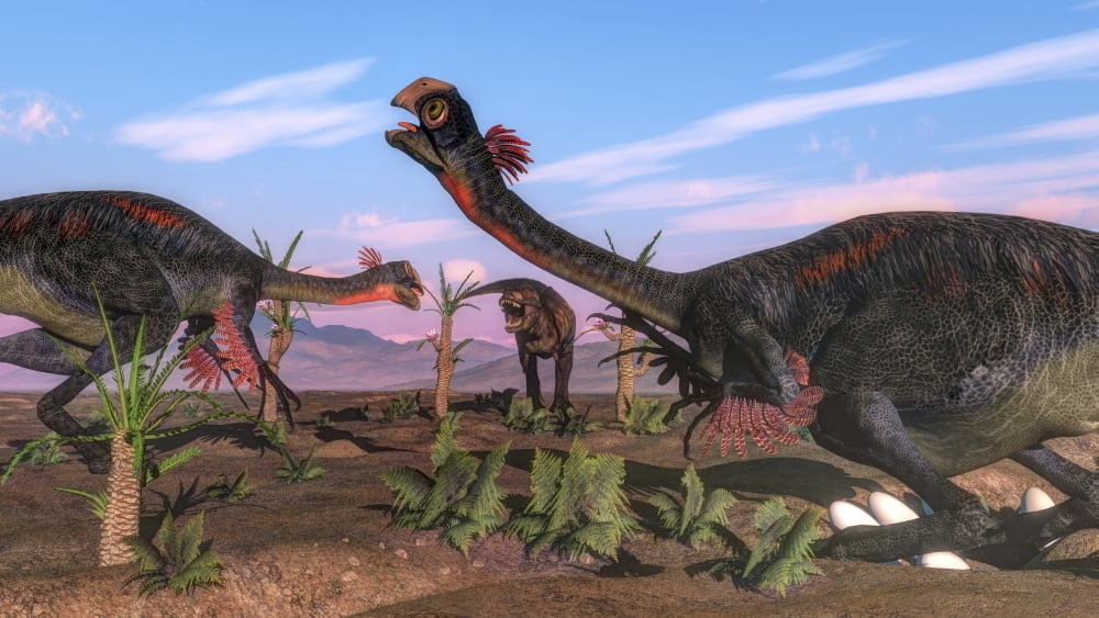 Tyrannosaurus rex attacking Gigantoraptors and their eggs Canvas Art - Elena DuvernayStocktrek Images (19 x 11)