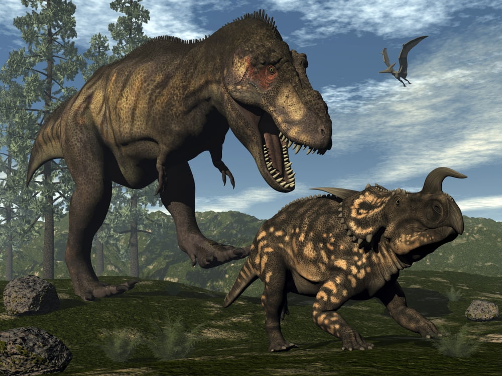 Tyrannosaurus rex attacking an Einiosaurus dinosaur Canvas Art - Elena DuvernayStocktrek Images (33 x 25)