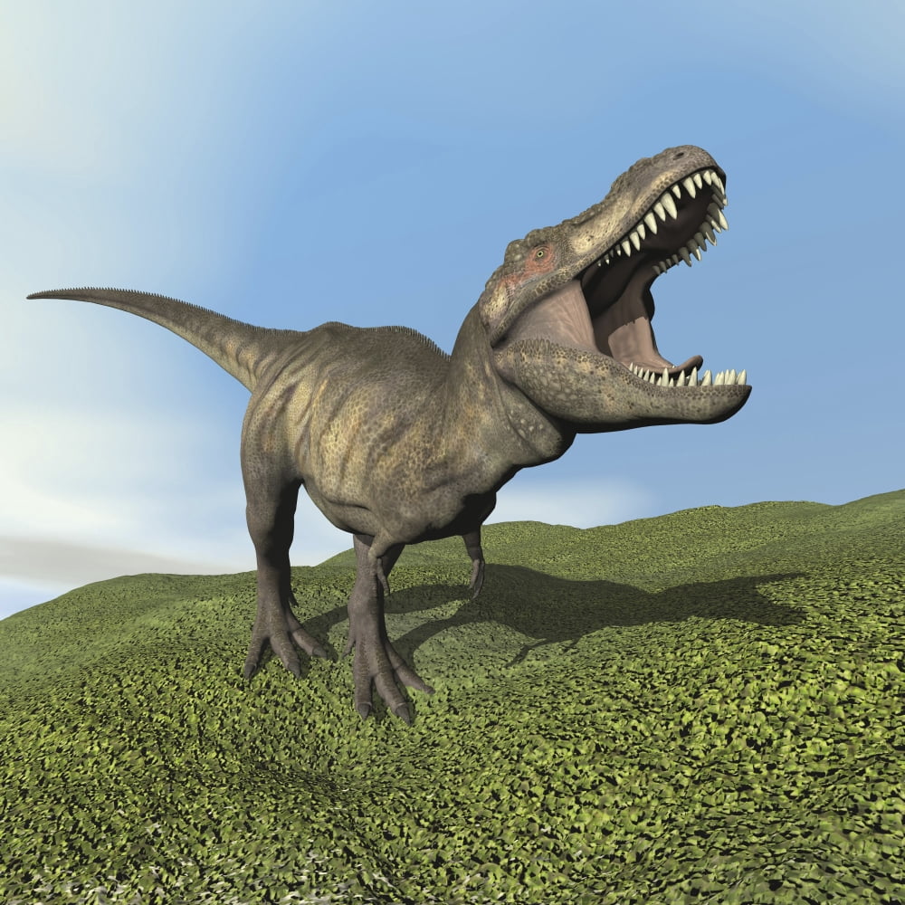 Tyrannosaurus rex dinosaur Canvas Art - Elena DuvernayStocktrek Images (29 x 29)