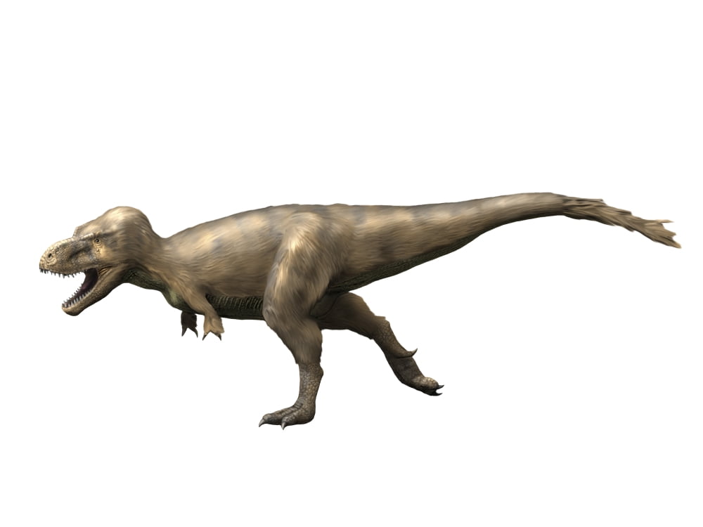 Tyrannosaurus rex dinosaur on white background Canvas Art - Nobumichi TamuraStocktrek Images (17 x 13)