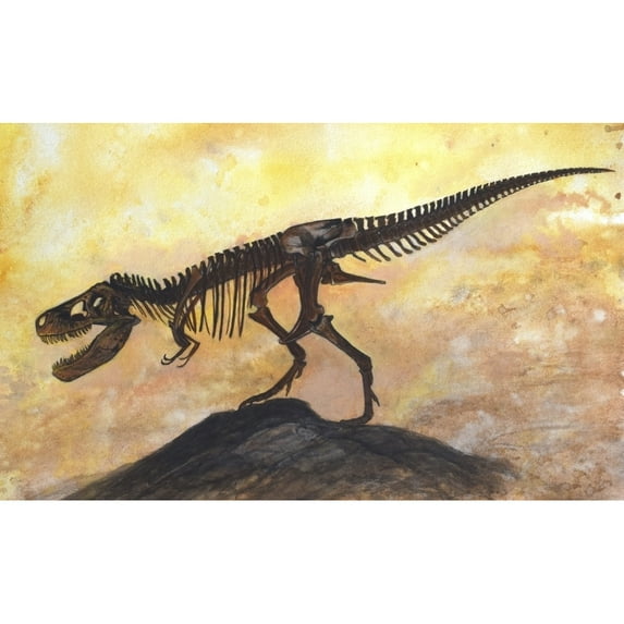 Tyrannosaurus rex dinosaur skeleton Poster Print
