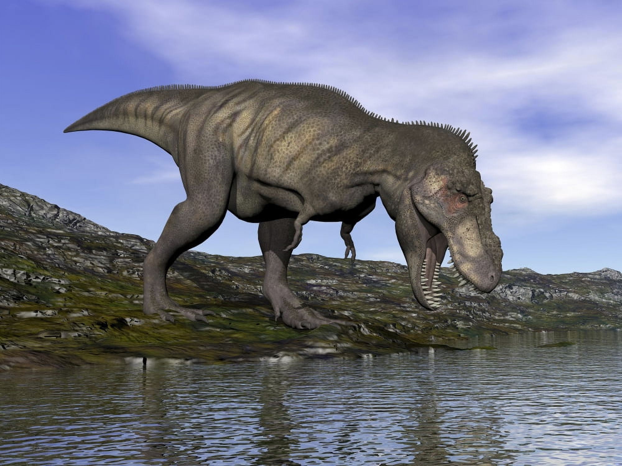 Tyrannosaurus rex dinosaur walking to the edge of water Canvas Art - Elena DuvernayStocktrek Images (16 x 12)