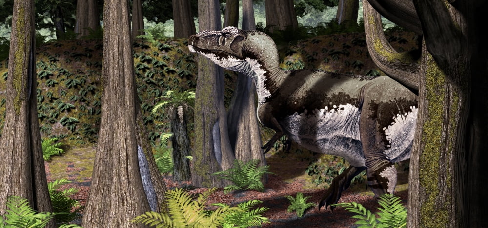Tyrannosaurus rex patrols the the edges of a Cretaceous forest Canvas Art - Roman Garcia MoraStocktrek Images (41 x 19)