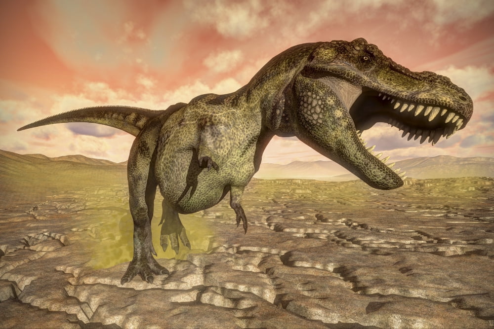 Tyrannosaurus rex roaring Canvas Art - Elena DuvernayStocktrek Images (17 x 12)
