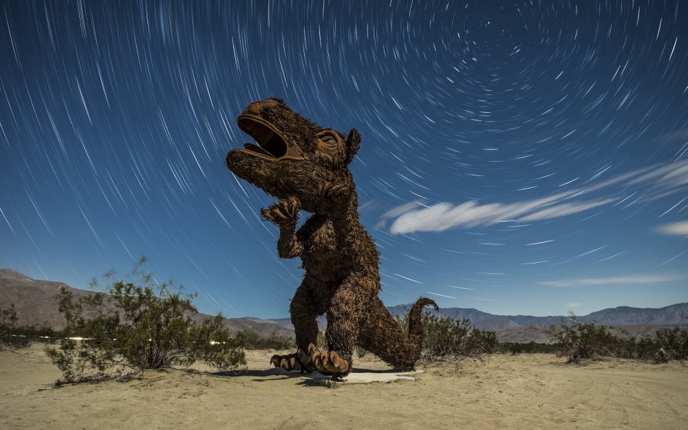 Tyrannosaurus rex sculpture against a backdrop of star trails California Canvas Art - Dan BarrStocktrek Images (36 x 23)