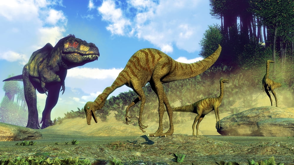 Tyrannosaurus rex surprising a herd of Gallimimus dinosaurs Canvas Art - Elena DuvernayStocktrek Images (38 x 22)