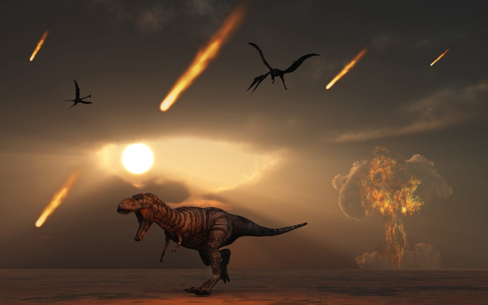 Tyrannosaurus rex tries to escape a giant asteroid impact Canvas Art - Mark StevensonStocktrek Images (36 x 23)