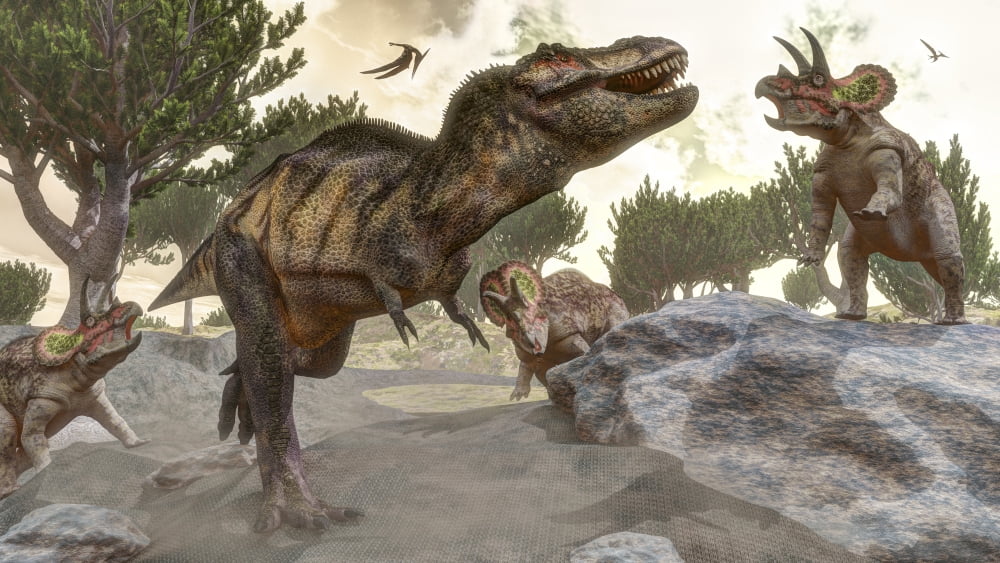 Tyrannosaurus rex tries to escape from a group of Triceratops Canvas Art - Elena DuvernayStocktrek Images (19 x 11)