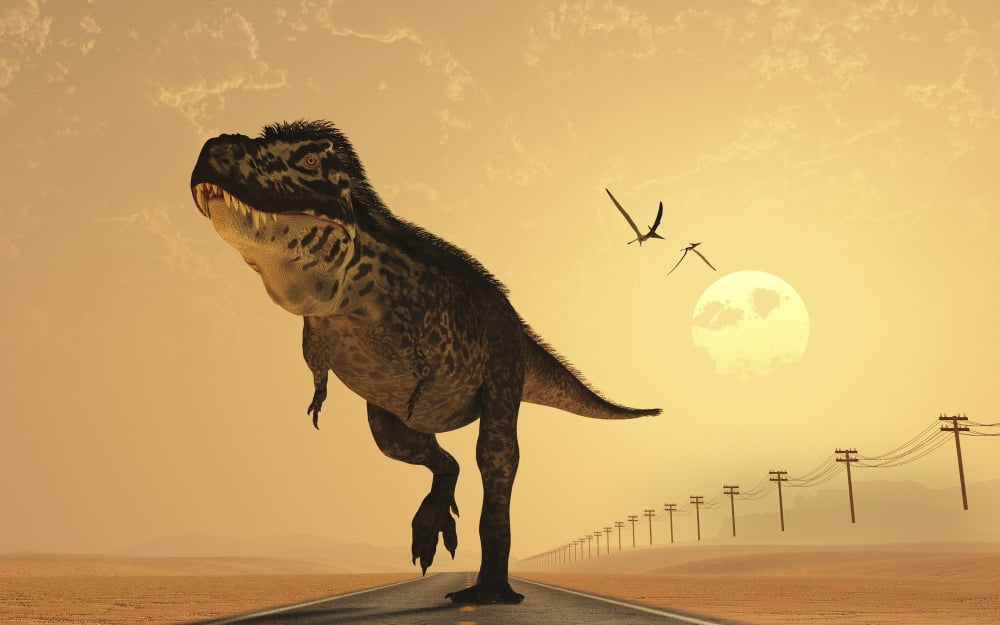 Tyrannosaurus rex walking on Route 66 Canvas Art - Mark StevensonStocktrek Images (36 x 23)
