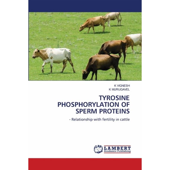 Tyrosine Phosphorylation of Sperm Proteins, (Paperback)