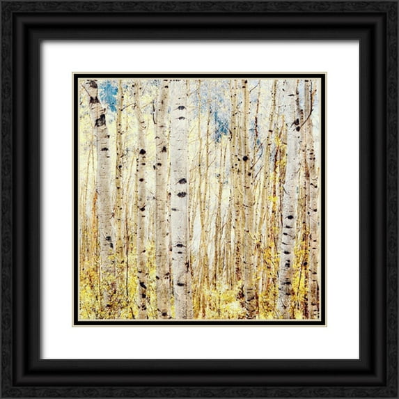 Tyrrell, Lu Anne 12x12 Black Ornate Wood Framed with Double Matting Museum Art Print Titled - Birch Grove