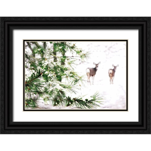 Tyrrell, Lu Anne 24x17 Black Ornate Wood Framed with Double Matting Museum Art Print Titled - Winters Dream