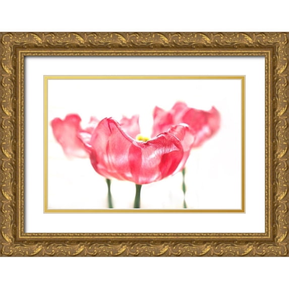 Tyrrell, Lu Anne 24x17 Gold Ornate Wood Framed with Double Matting Museum Art Print Titled - Three Tulips