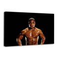 thumbnail image 1 of Tyson Heavyweight Champion Boxing Sports Posters Art Print Wall Photo Paint Poster Hanging Picture Family Bedroom Decor Gift 12x18inch(30x45cm), 1 of 6