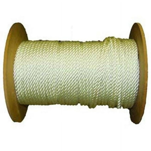 Tytan International NY14100MSP Solid Braid Nylon Rope, Twt 0.25 x 100 ft.