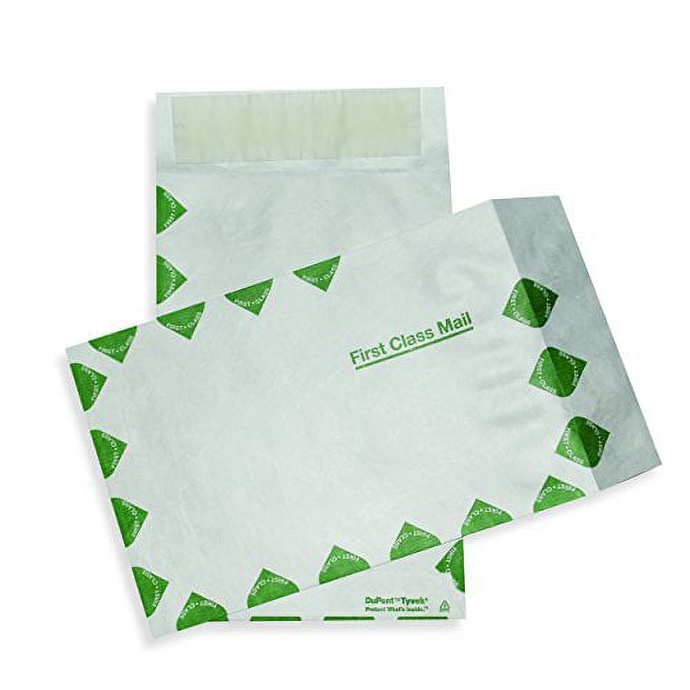 Tyvek Envelope, 6" X 9", 14 Lb. Border, Open End, Catalog Envelope