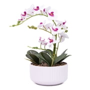 Tzou 19in White Faux Orchid in PP Pot - Silk Flower Home Office Decor
