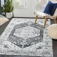 thumbnail image 1 of Tzou Vintage Floral Low Profile Area Rug 3x5 for Entryway Bedroom Kitchen Super Soft Floor Mat, Machine Washable, Grey, 1 of 7
