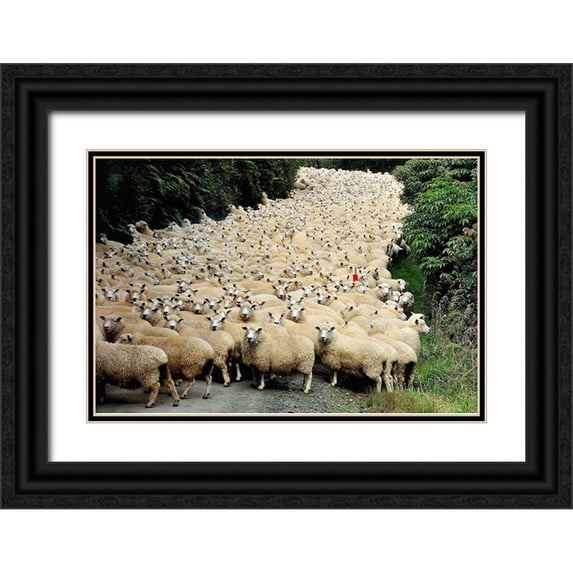 Tzur, Yair 18x13 Black Ornate Wood Framed with Double Matting Museum Art Print Titled - New Zealand Traffic Jam