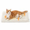 thumbnail image 1 of U By Bedsure ComfyFleece Self Warming Cat Bed, Small Self Heating Dog Crate Pad, Thermal Extra Warm Puppy Mat Indoor,Non-Slip & Washable, Not Electric, 24" x 18",White, 1 of 9