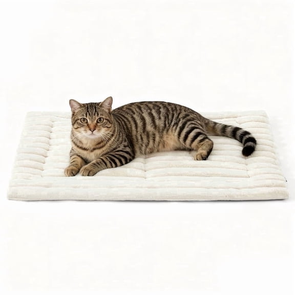 U By Bedsure ComfyFleece Self Warming Cat Bed, Small Self Heating Dog Crate Pad, Thermal Extra Warm Puppy Mat Indoor,Non-Slip & Washable, Not Electric, 24" x 18",White