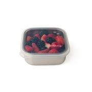 U-Konserve Stainless Steel Food Storage Bento Box Container, Leak Proof Silicone Lid Dishwasher Safe - Plastic Free 15oz Clear