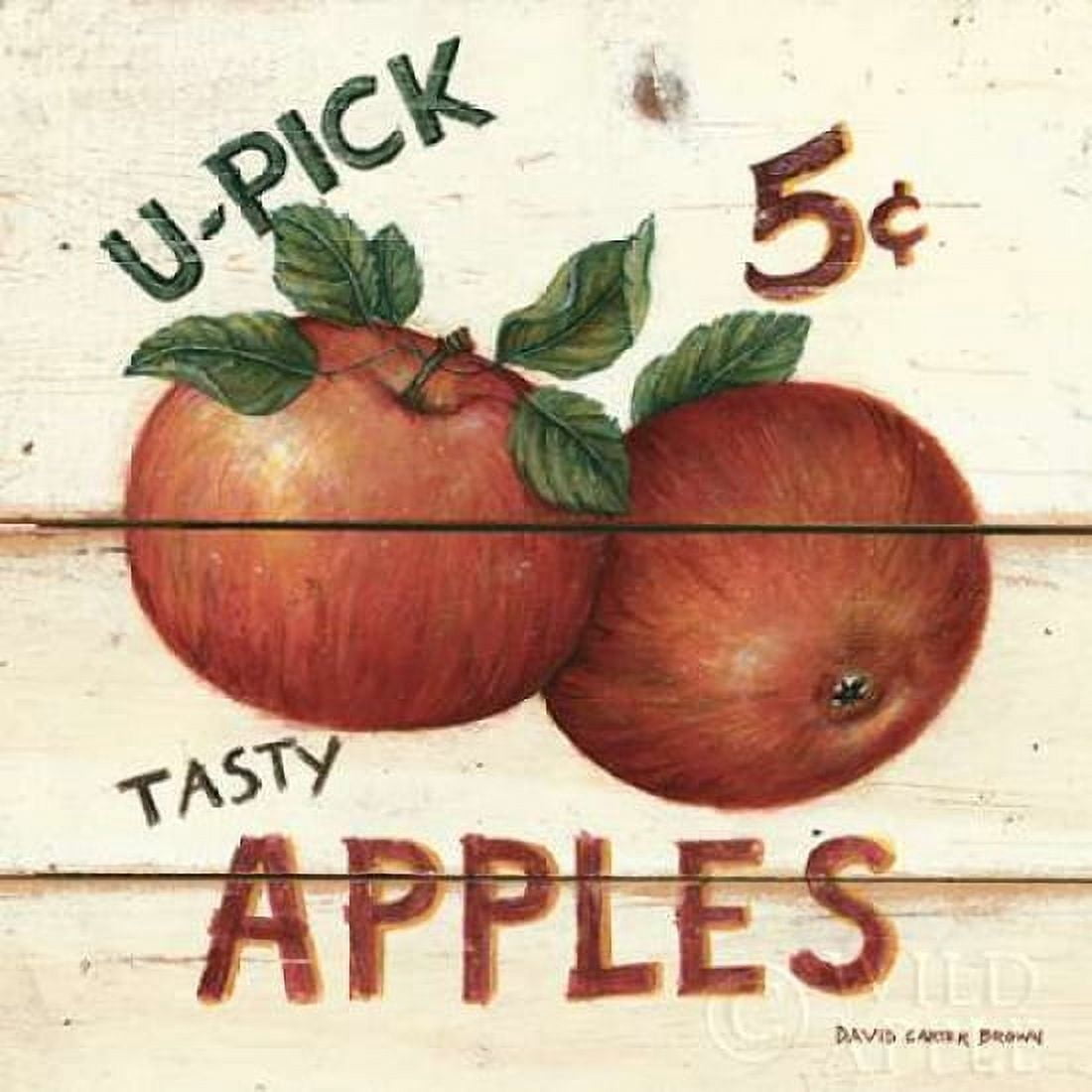 U-Pick Apples Canvas Art - David Carter Brown (24 x 24)