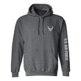 thumbnail image 1 of U.S. Air Force Grey Sleeve Print Adult Hooded Sweatshirt, 1 of 3