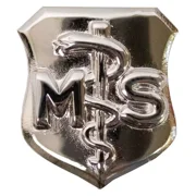 U.S. Air Force Medical Service Badge USAF Genuine Military Issue Mirror Finish