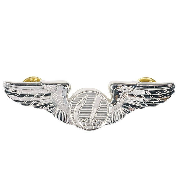 U.S. Air Force Remotely Piloted ASO Regular Size Badge