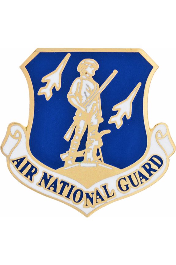 Eagle Emblems P15987 Pin - USAF, National Guard - 1.125 in.