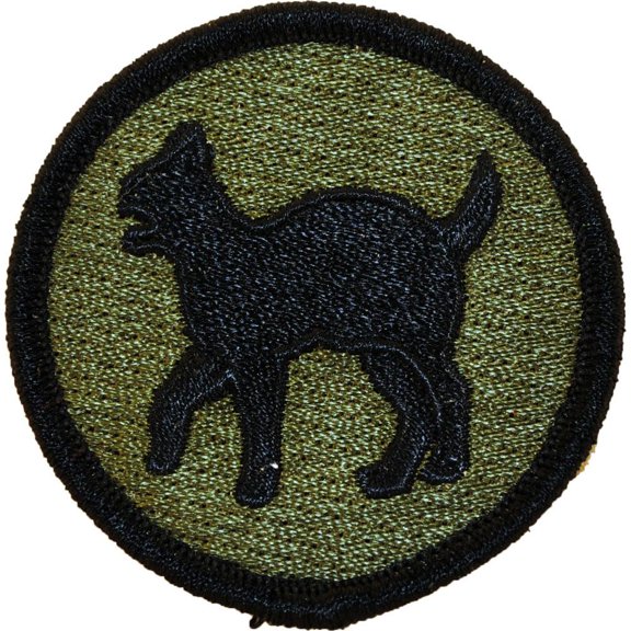 Eagle Emblems PM3677 Patch - Army, 81st Reg.Read - 3 in.