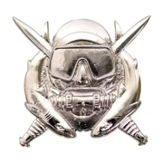 U.S. Army Special Operations Diver Badge Genuine Regulation Size Military