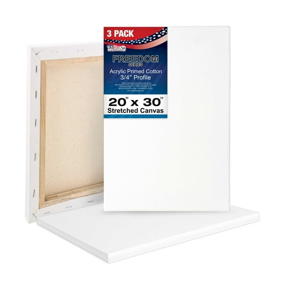 U.S. Art Supply 20 x 30 inch Stretched Canvas 12-Ounce Triple Primed, 3-Pack - Professional Artist Quality White Blank 3/4" Profile, 100% Cotton, Heavy-Weight Gesso - Acrylic Pouring, Oil Painting