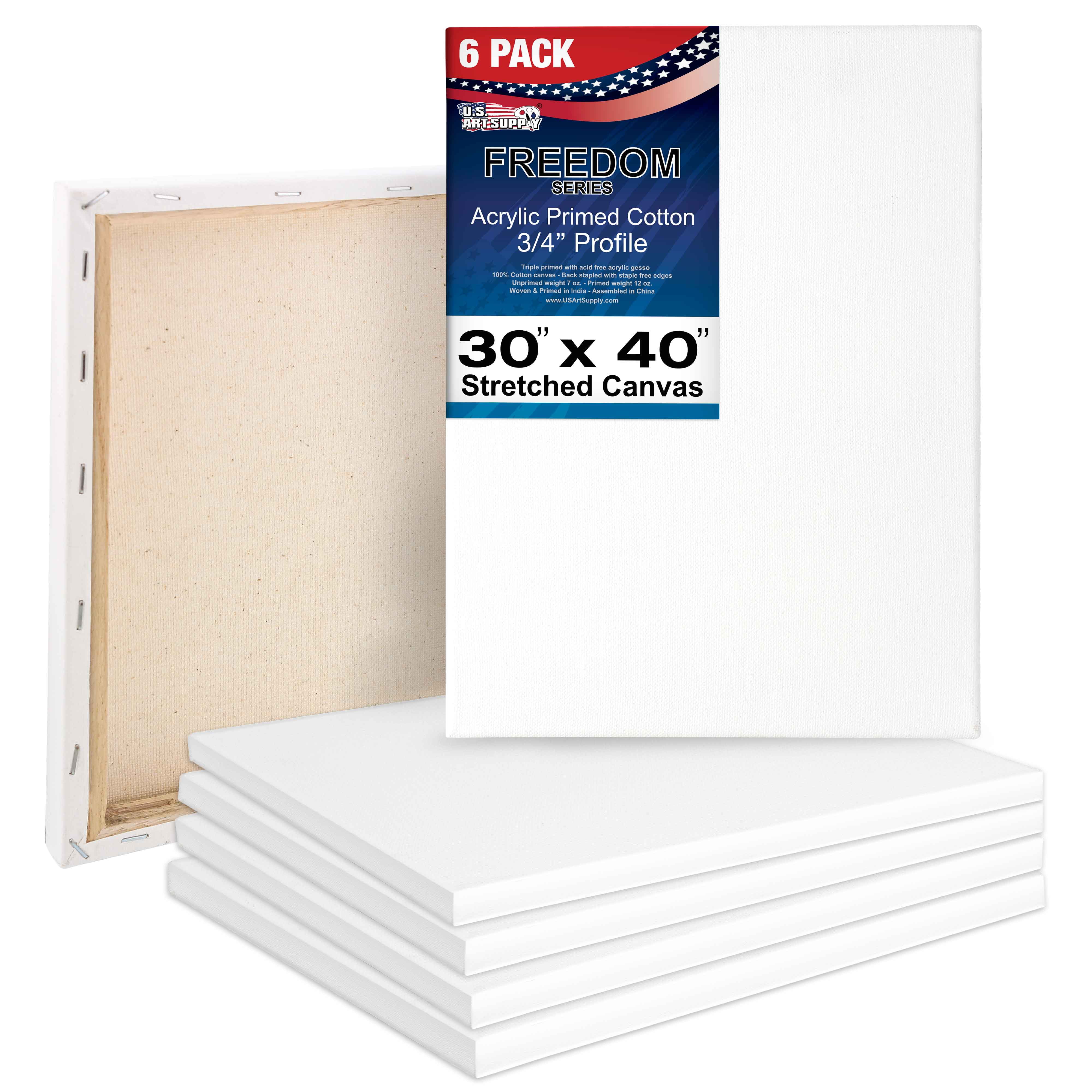  Academy Art Supply Stretched Canvases 20 x 30 inch - 100%  Cotton Artist Blank Canvas for Painting, Pre-gessoed, Primed, Acid-Free  Canvases, Perfect for Acrylic and Oil Painting, Pack of 6
