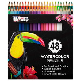  Crayola Twistables Colored Pencil Set (50ct), No Sharpen  Colored Pencils For Kids, Kids Art Supplies, Coloring Set, Gifts, 4+  [ Exclusive] : Toys & Games