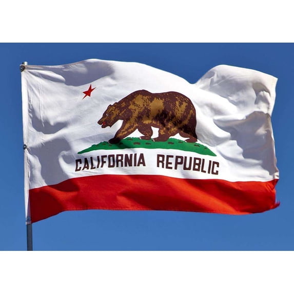 Allied Flag California State Flag - 5 x 8 - Nylon
