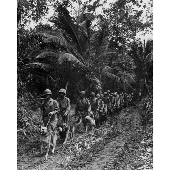 U.S. Marine 'Raiders' And Their Dogs History (18 x 24)