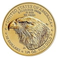 thumbnail image 1 of U.S. Mint , 1/4 Oz American Gold Eagle Coin - New / Type Design (Dates Our Choice), Bullion, 1 of 4
