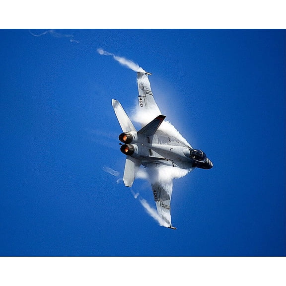 U.S. Navy F/A-18F Super Hornet Mighty Shrikes Style - A - 12x18 Inch Laminated Aviation Poster - Stunning Detail and Bold Colors
