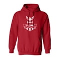thumbnail image 1 of U.S. Navy Flag Adult Hooded Sweatshirt, 1 of 3