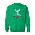 thumbnail image 1 of U.S. Navy Flag Crewneck Sweatshirt, 1 of 3