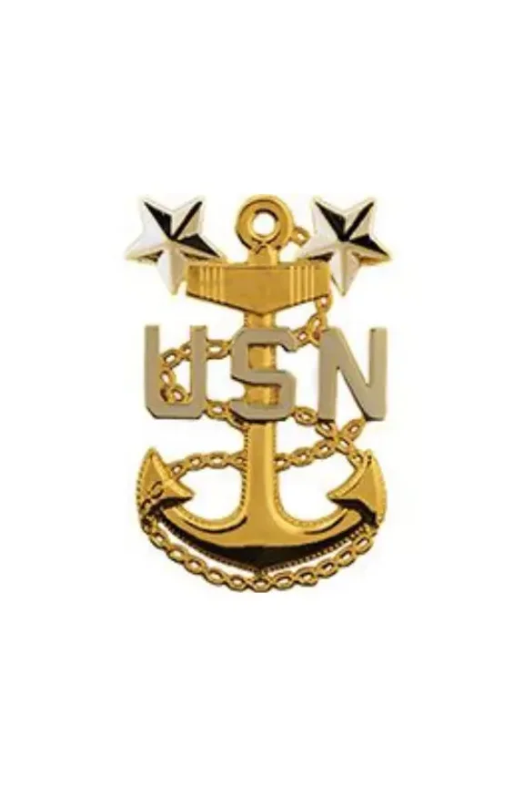 Eagle Emblems P19035 Pin - USN, Chief Petty Officer Master - Silver & Gold - 1.125 in.
